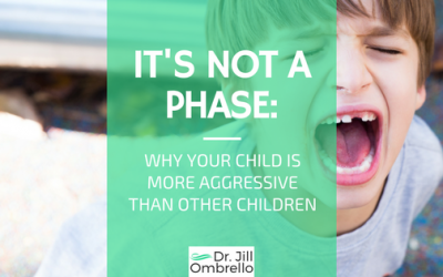 It’s Not A Phase: Why Your Child Is More Aggressive Than Other Children